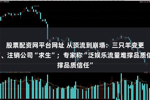 股票配资网平台网址 从顶流到崩塌：三只羊变更高管、注销公司“求生”；专家称“泛娱乐流量难撑品质信任”