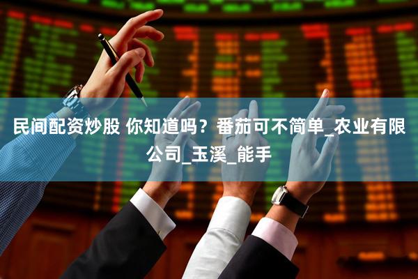 民间配资炒股 你知道吗？番茄可不简单_农业有限公司_玉溪_能手